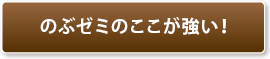 のぶゼミのここが強い！